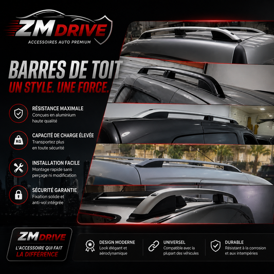 Barres de Toit Universelles